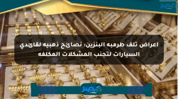 أعراض تلف طرمبة البنزين: نصائح ذهبية لقائدي السيارات لتجنب المشكلات المكلفة
